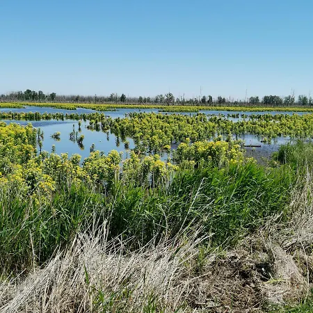 Appartamento Komfortable Grosszuegige Am Park